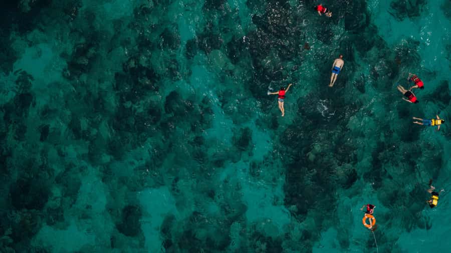 Bali/Nusa Dua: Snorkeling, Glass Boat Ride & Turtle Center - What this Nusa Dua outing is really like