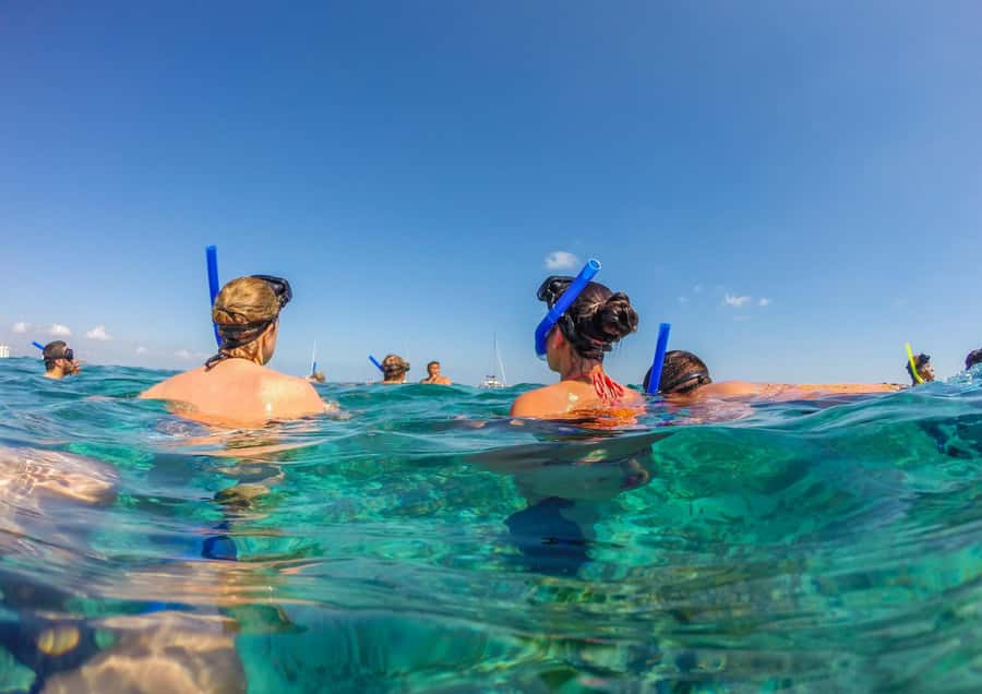 Bali/Nusa Dua: Snorkeling, Glass Boat Ride & Turtle Center - One hour snorkeling off Nusa Dua