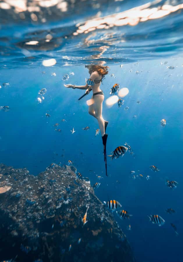 Bali/Nusa Dua: Snorkeling, Glass Boat Ride & Turtle Center - How the price works at $46