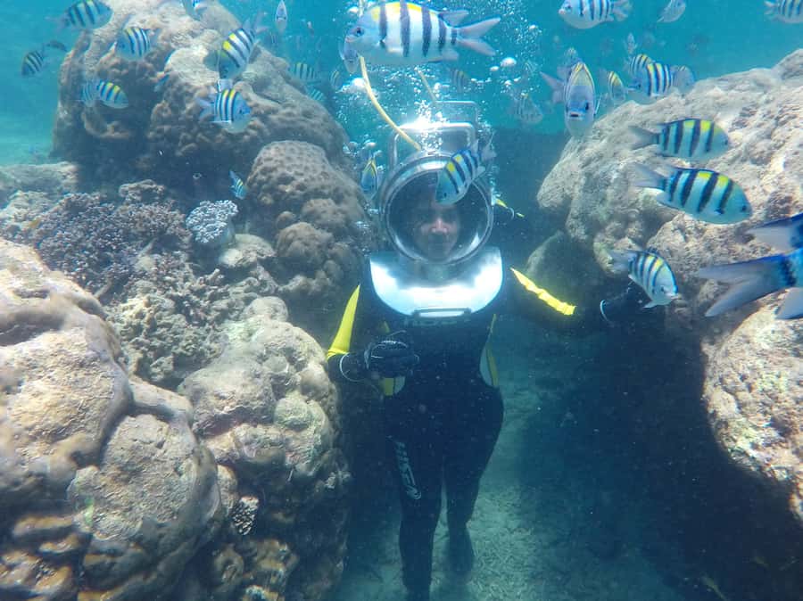 Bali: Nusa Dua Underwater Sea Walking Experience - Why nervous beginners often enjoy this format