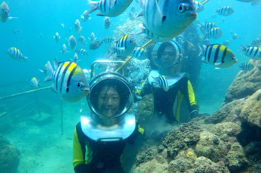 Bali: Nusa Dua Underwater Sea Walking Experience - Who should book the Nusa Dua sea walk?