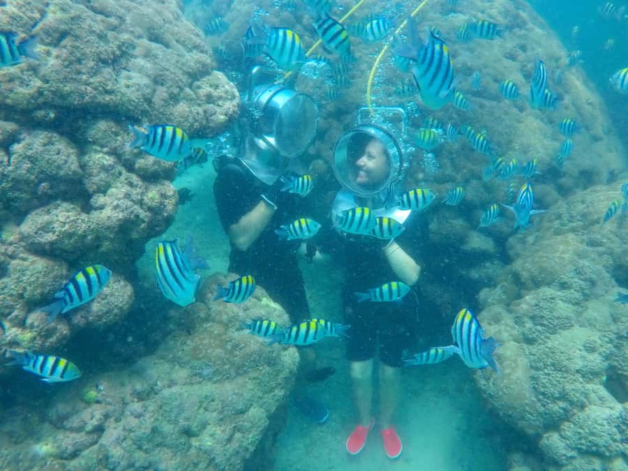Bali: Nusa Dua Underwater Sea Walking Experience - Descending the stairs with an instructor beside you