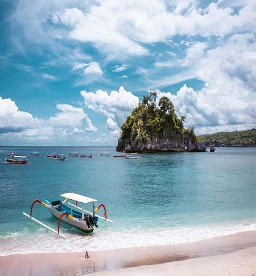 Bali/Nusa Penida: Highlight West FullDay Nature Tour & Lunch - Kelingking Beach and the T-Rex cliff