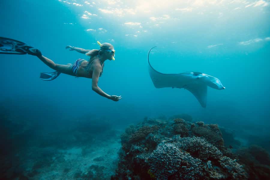 Bali/Nusa Penida: Manta Point Snorkel Boat & West Coast Tour - Key points to know before booking