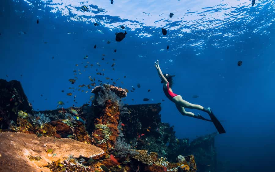 Bali/Nusa Penida: Manta Point Snorkel Boat & West Coast Tour - The early ferry from Bali to Nusa Penida