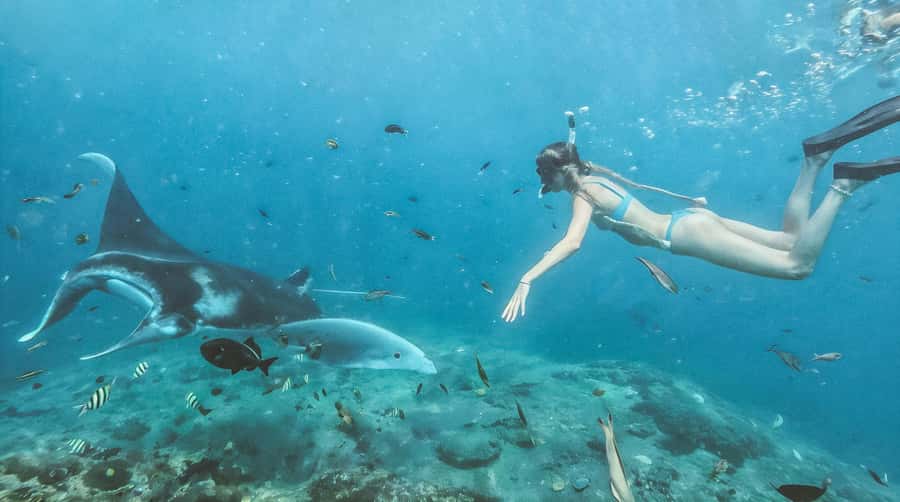 Bali/Nusa Penida: Manta Point Snorkeling & West Coast Tour - Key points at a glance