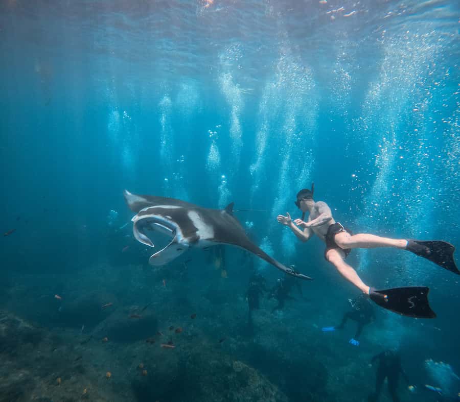 Bali/Nusa Penida: Manta Point Snorkeling & West Coast Tour - The West Coast road trip after snorkeling