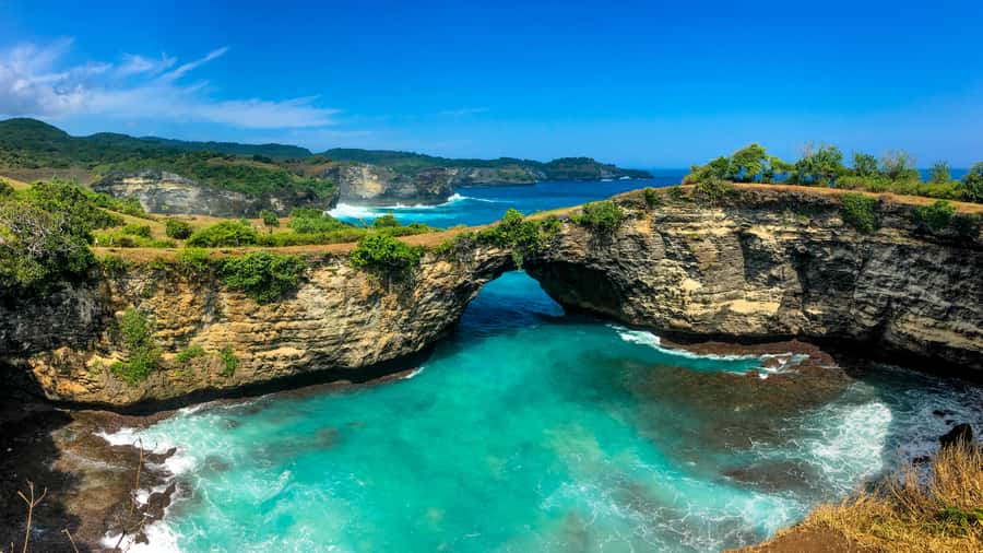Bali: Nusa Penida Private Customizable Full-Day Guided Tour - Should you book this custom Nusa Penida tour?