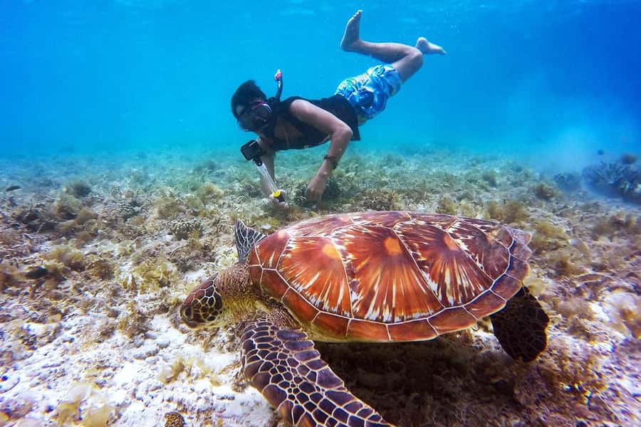 Bali: Nusa Penida Speedboat Trip with Snorkeling and Tour - Starting at Serangan with coffee and a speedboat