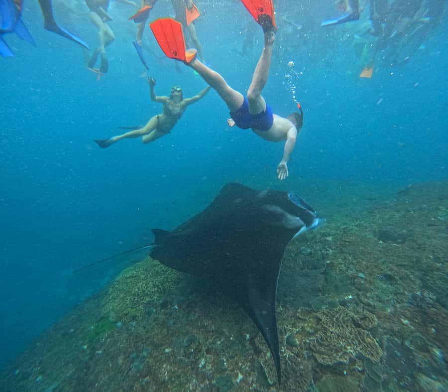 Bali: Nusa Penida Tour with Lunch & Manta Point Snorkeling - Manta Point and the reality of wildlife sightings