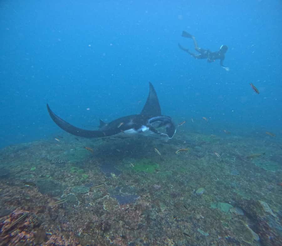 Bali: Nusa Penida Tour with Lunch & Manta Point Snorkeling - Broken Beach and Angel Billabong from the cliffs