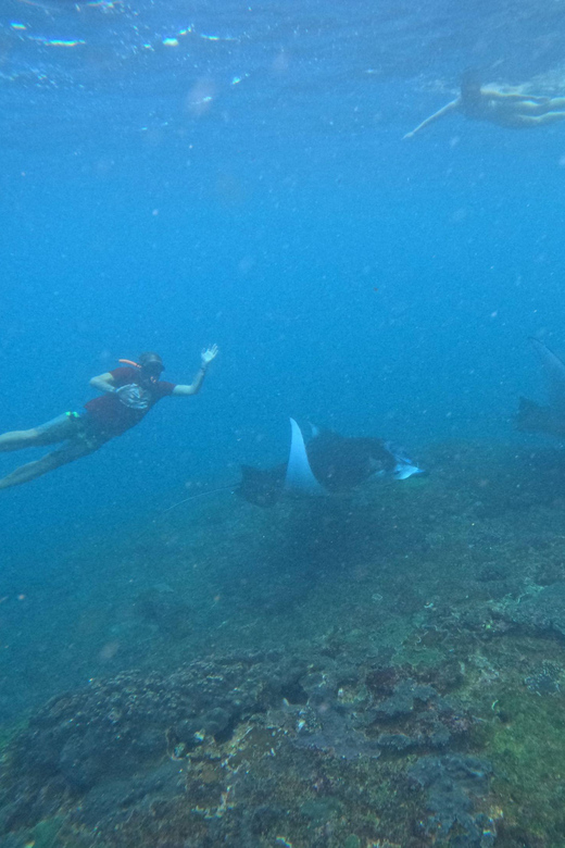 Bali: Nusa Penida Tour with Lunch & Manta Point Snorkeling - The return trip to Bali