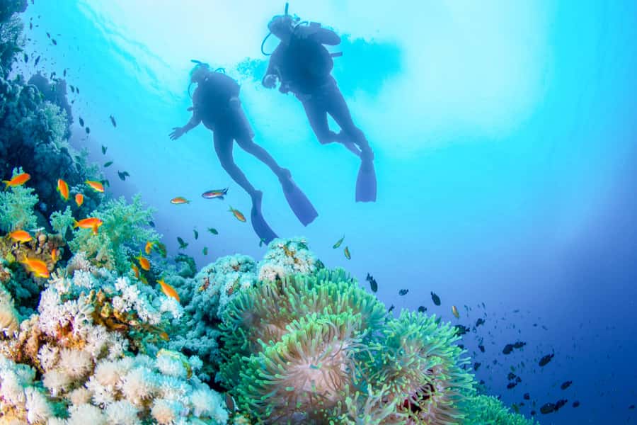 Bali: Padangbai Blue Lagoon Beginner's Dive Experience - Why Blue Lagoon works for a first scuba experience