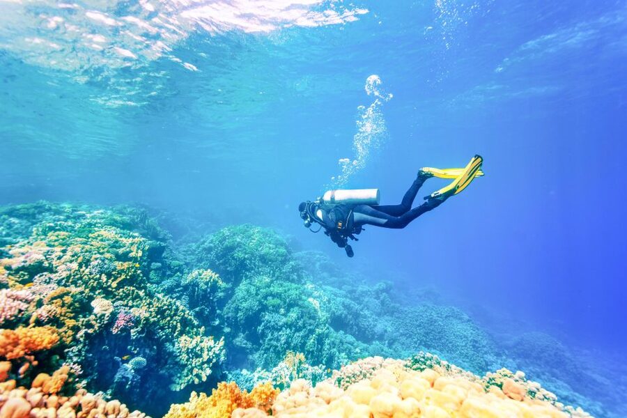 Bali: Padangbai Blue Lagoon Beginner's Dive Experience - What you might see below the surface