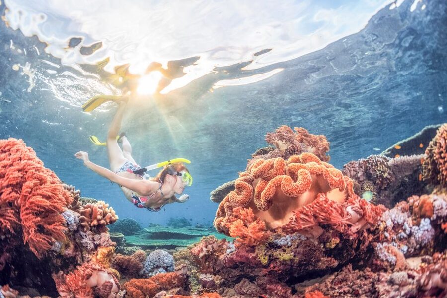 Bali: Padangbai Blue Lagoon Snorkeling Day Trip - What the $75 price includes
