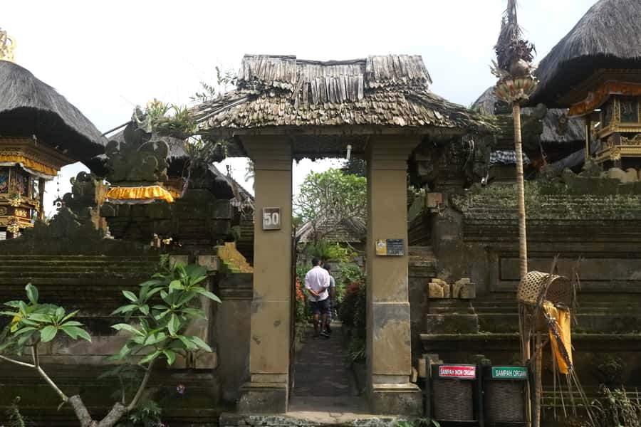 Bali: Penglipuran Village, Rice Terrace & Waterfall Tour - Who should book this Bali outing?