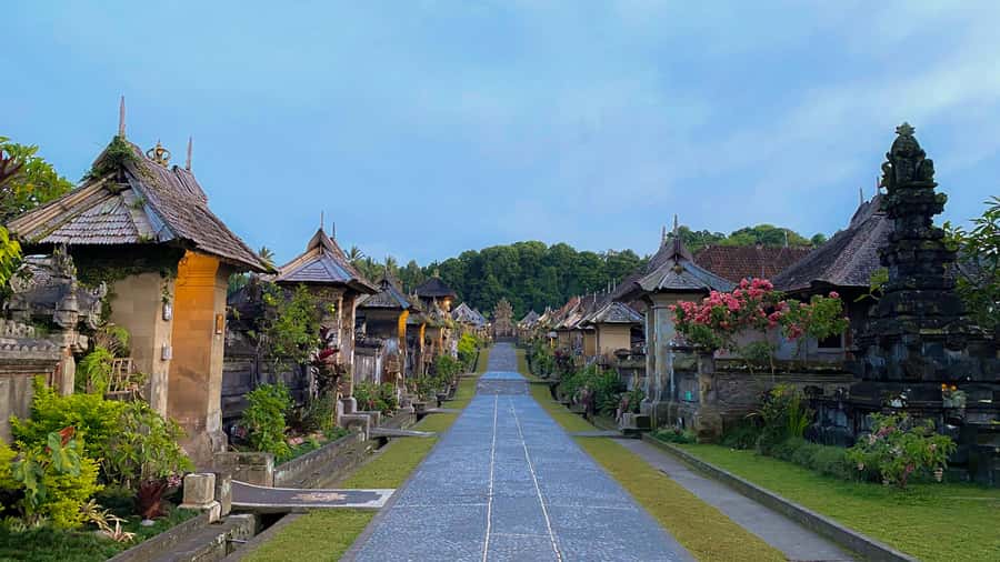 Bali: Penglipuran Village, Rice Terrace & Waterfall Tour - What the guides add to the day
