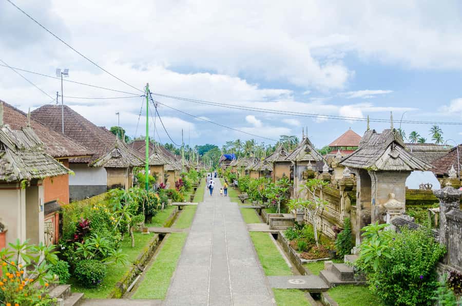 Bali: Penglipuran Village, Tirta Empul & Ubud All Incusive - Coffee, scenery, and a stop that needs clarification