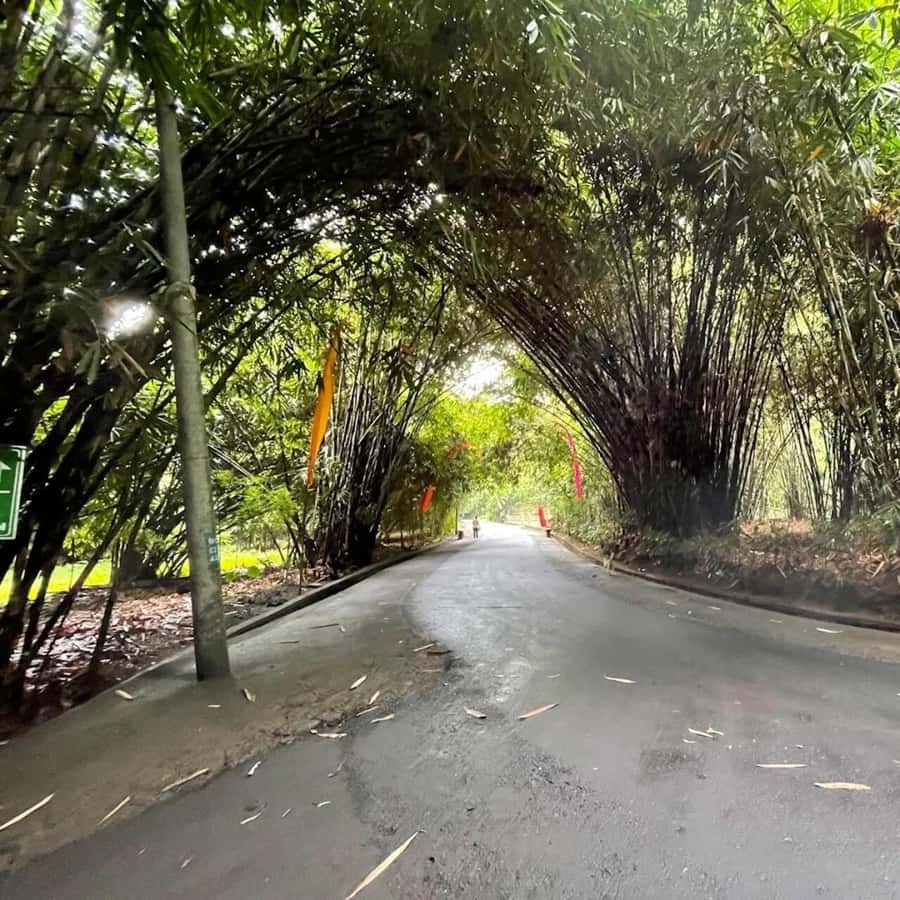 Bali: Penglipuran Village, Waterfall, and Night Market Tour - Pasar Gianyar turns sightseeing into dinner planning