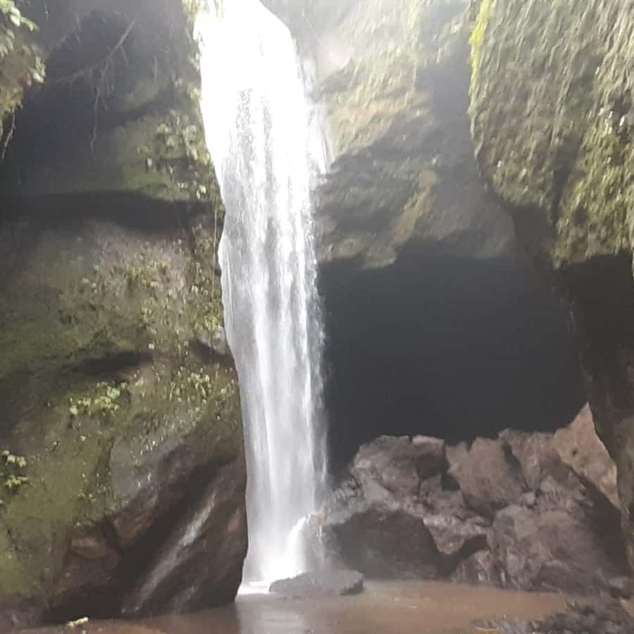 Bali: Penglipuran Village, Waterfall, and Night Market Tour - Should you book this tour?