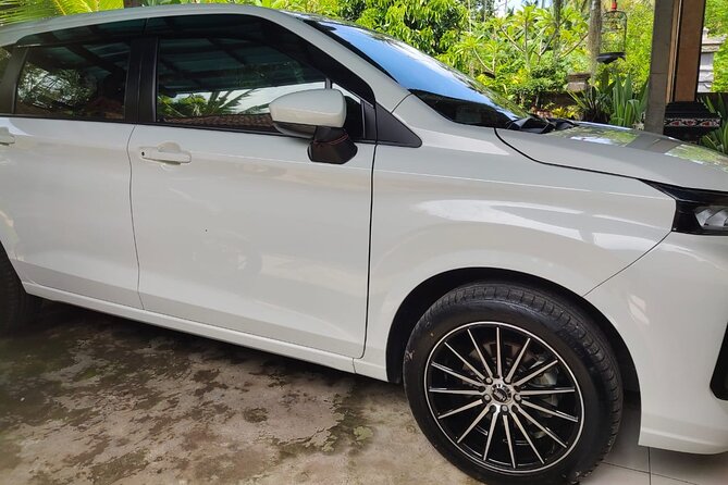 Bali Private Car and Customize Tour With English Speaking Driver - Tanah Lot at the right time of day