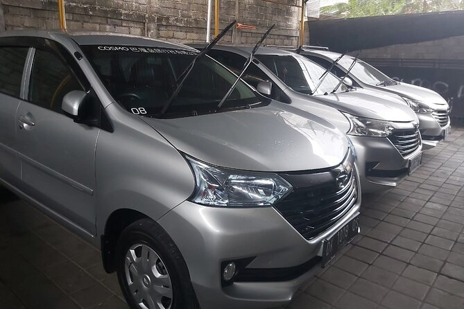 Bali Private Car Charter - Car comfort for groups of up to five