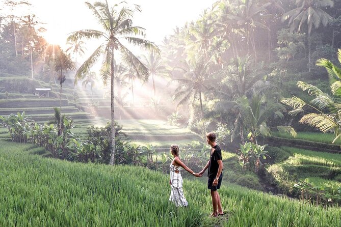 Bali Private Car Charter with English Speaking Driver Or Guide - Why a private charter works well in Bali