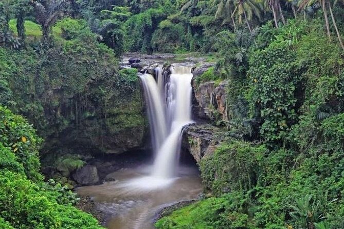 Bali Private Car Charter with English Speaking Driver Or Guide - Who will get the most from this experience?