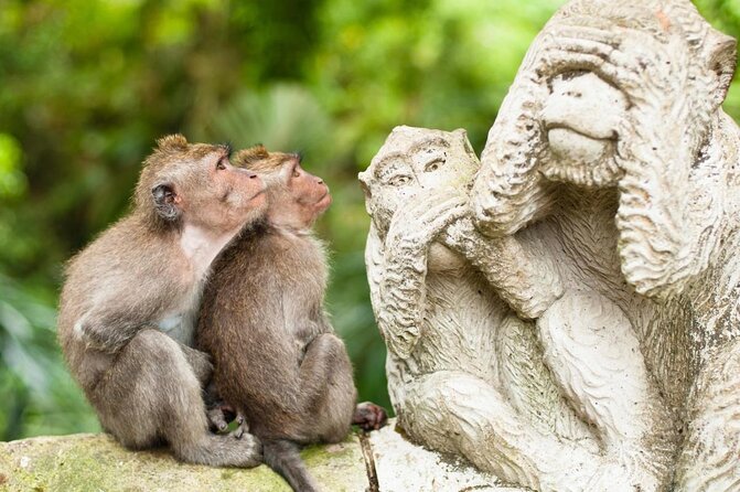 Bali Private Car Charter With English Speaking Driver To Ubud Area - Key points at a glance