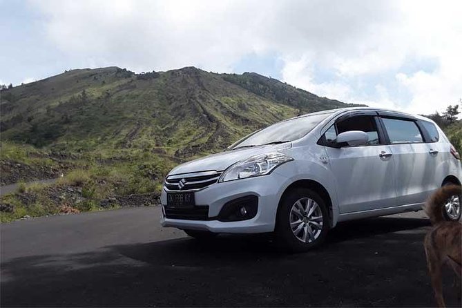 Bali Private Car or Minibus Charter With Driver - A private Bali day instead of a fixed tour