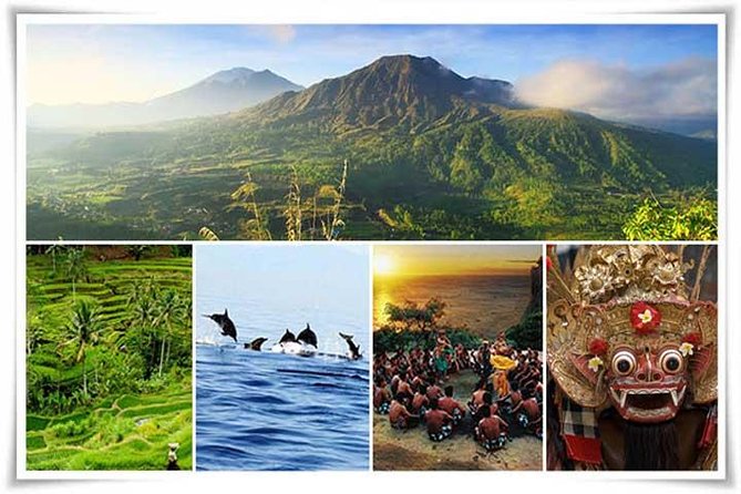 Bali Private Car or Minibus Charter With Driver - Who will get the most from this charter