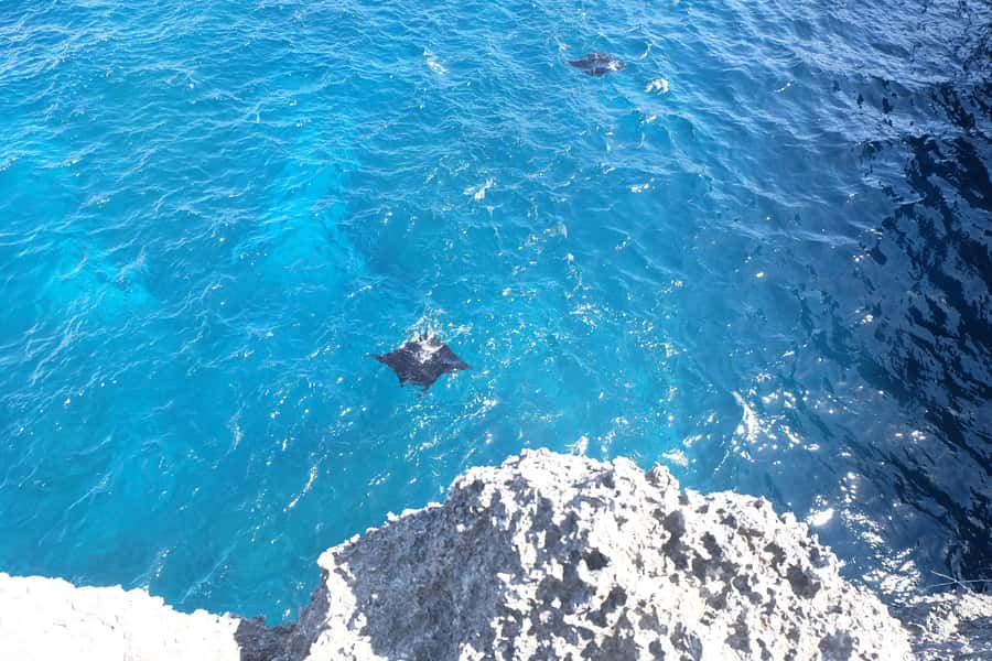 Bali: Private Car with Driver in Nusa Penida - Key points before you book