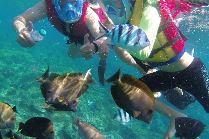 Bali Private Custom Tour - What the 10-hour Bali stop really includes