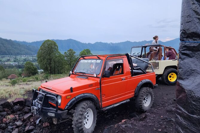 Bali Private Custom Tour - Pickup, timing, and the questions to ask first