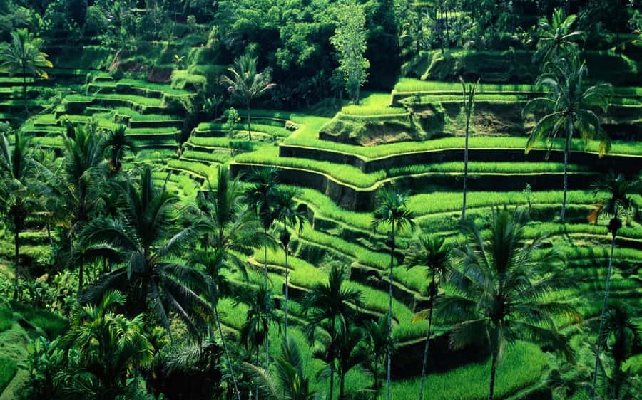 Bali: Private Customize Tour - Gate of Heaven: East Bali’s grandest photo day