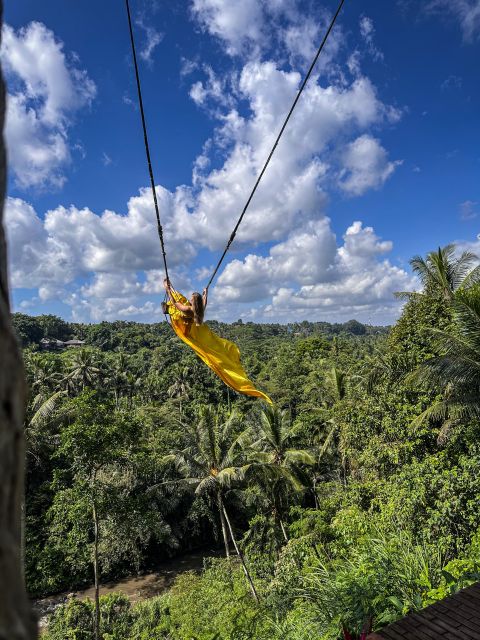 Bali: Private Customize Tour - What the private driver adds to the day