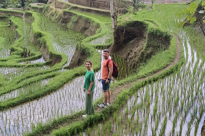 Bali Private Driver and Car for Customize Tours - Choosing the right part of Bali