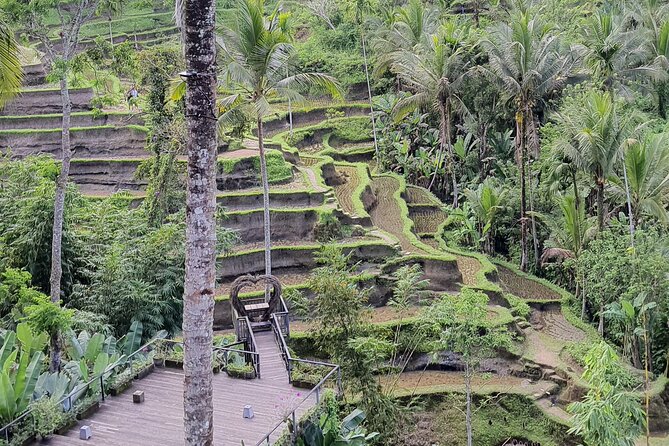 Bali Private Driver and Car for Customize Tours - Waterfalls that need different levels of effort