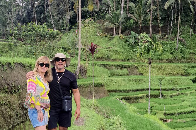 Bali Private Driver and Car for Customize Tours - Northern Bali: cool air, mountain scenery, and photo stops