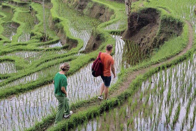 Bali Private Driver and Car for Customize Tours - Ubud temples, terraces, and craft villages
