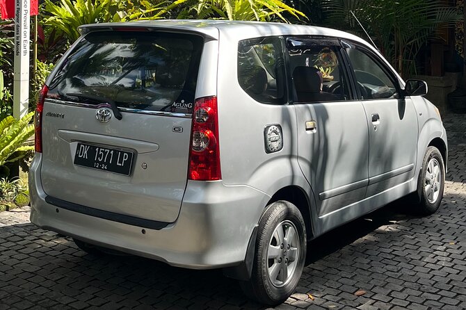 Bali Private Full Day Tour to Visit the Best Waterfalls and Swing near Ubud - Three waterfalls, three very different stops