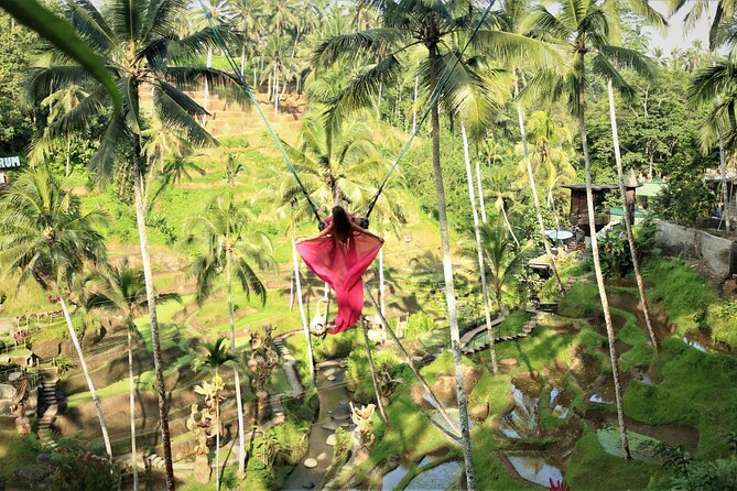 Bali Private Full Day Tour to Visit the Best Waterfalls and Swing near Ubud - Bali Pulina adds coffee and farming context