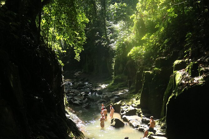 Bali Private Full Day Tour to Visit the Best Waterfalls and Swing near Ubud - Why the private car matters on a 10-hour route