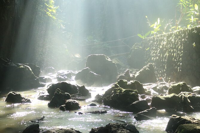 Bali Private Full Day Tour to Visit the Best Waterfalls and Swing near Ubud - Weather, timing, and cancellation details