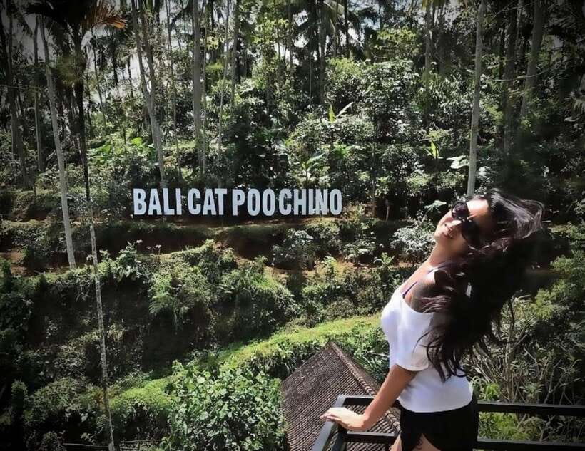 Bali: Private Full day trip Customizable tour - What your driver adds to the day