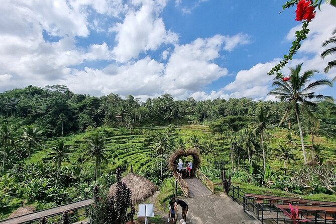 Bali Private inclusive tour: Best of Ubud in a Day - Monkey Forest: a close look at Ubud’s long-tailed monkeys