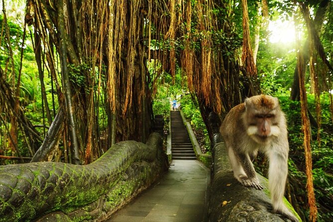 Bali Private inclusive tour: Best of Ubud in a Day - Ubud Market and Puri Saren Palace in the afternoon