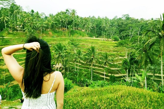 Bali Private inclusive tour: Best of Ubud in a Day - Is $48.11 good value?