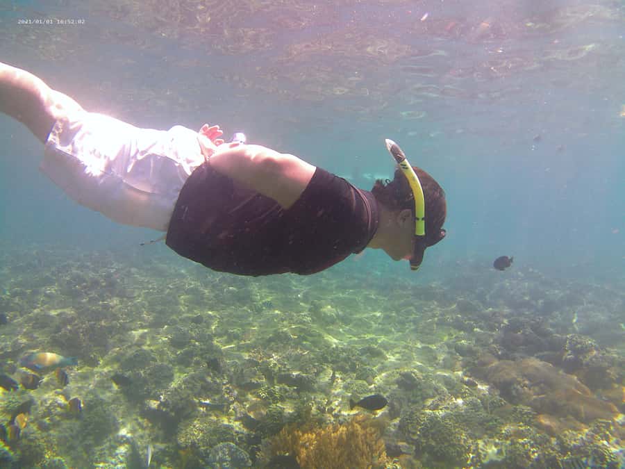 Bali: Private Snorkeling Trip to Blue Lagoon & Tanjung Jepun - Should you book Blue Lagoon and Tanjung Jepun?
