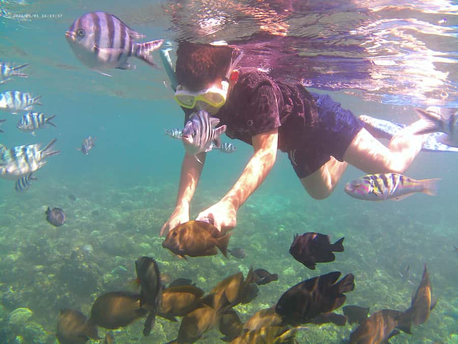 Bali: Private Snorkeling Trip to Blue Lagoon & Tanjung Jepun - What the private boat changes